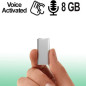Ultra Micro-SPY-Recorder (voice-activated)